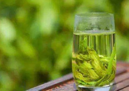最有助于减肥 的4种饮品,绿茶上榜,第一的它 热度最高